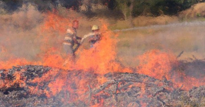 1.5 dönümlük arazisini yaktı