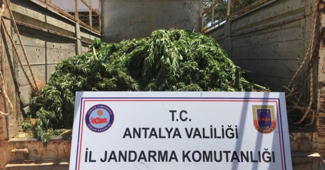 1 milyon liralık uyuşturucu yakalandı 