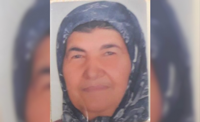 Otomobiller çarpıştı: 1 ölü, 1 yaralı