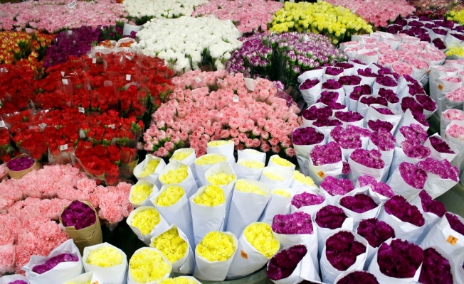 Dünyanın annelerine  çiçekler Antalya'dan