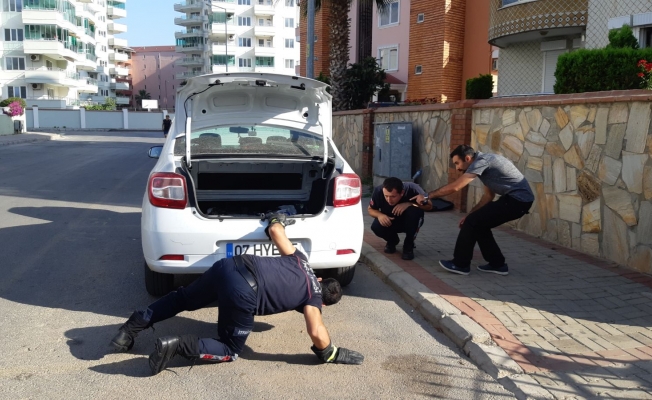 Oba'da yılan alarmı