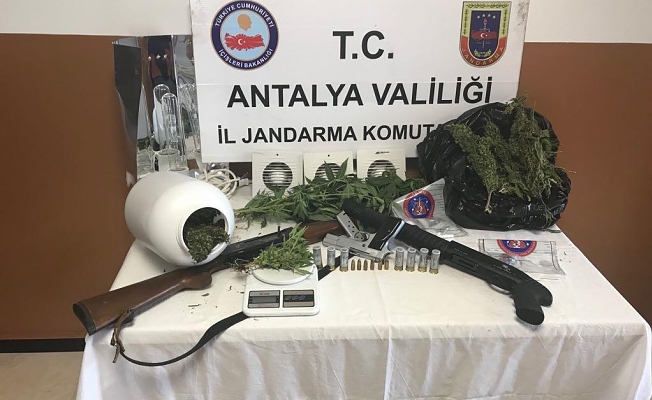 Alanya Cumhuriyet Başsavcılığı uyuşturucunun kökünü kazıyor