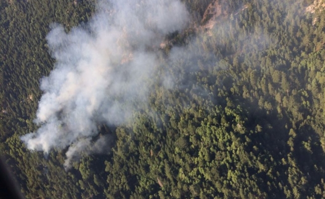 Korkutan orman yangını