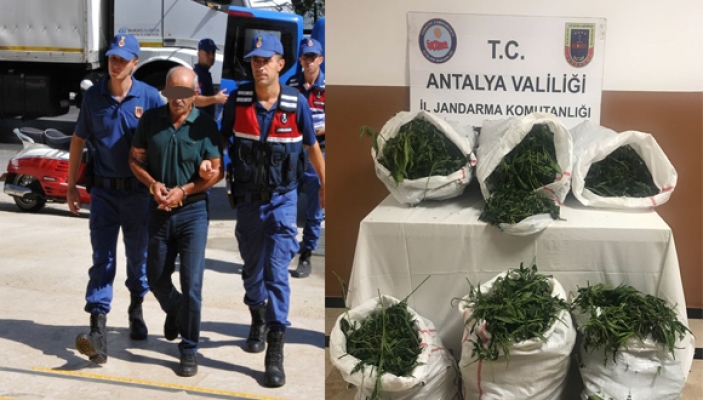 Jandarma 32 kilogram esrar ve 617 kök Hint keneviri ele geçirdi