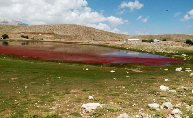 Korkulan olay uzmanlar tarafından normal karşılandı