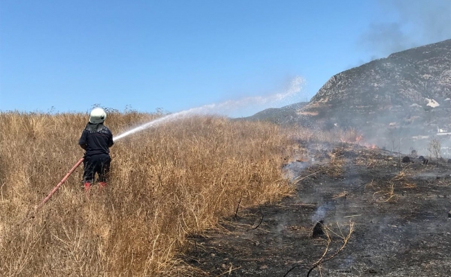 Otluk alanda yangın çıktı