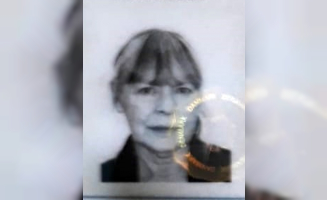 Yerleşik Danimarkalı kadın havuzda boğuldu