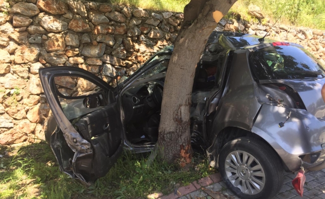 Alanya’da otomobil ağaca ve duvara çarptı: 1’i ağır 2 yaralı