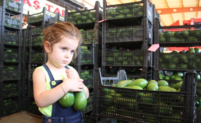 Alanya’dan Ukrayna’ya 3.5 ton avokado ihracatı