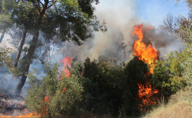 Antalya’da antik kent yakınında orman yangını