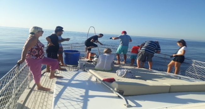 Oltaya takılan 3 metrelik köpek balığı turistleri şoke etti