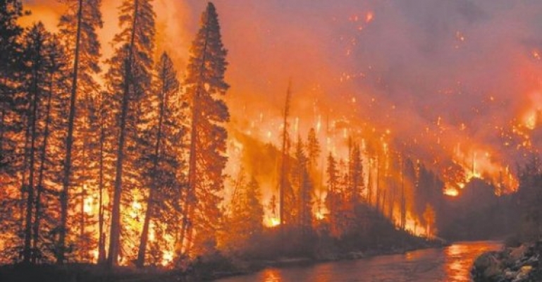 1 ayda 300 orman yangını: Son yangın Alanya'da