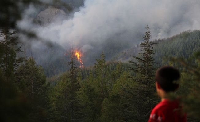 Orman yangınında hızlı müdahale büyümeyi önledi