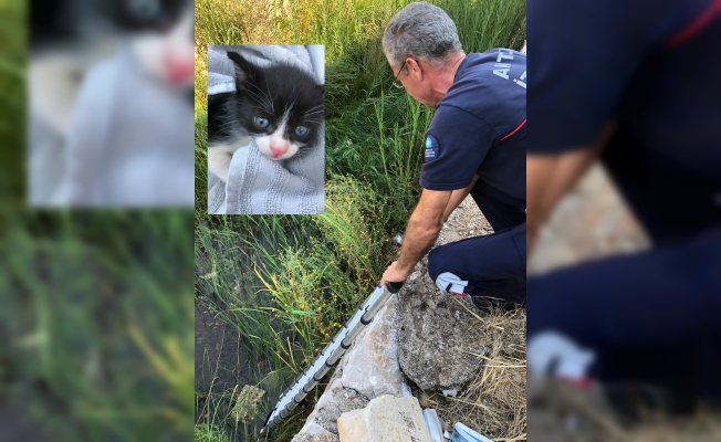 Su kanalına düşen minik kediyi itfaiye kurtardı