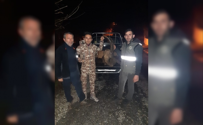 Kaçak yaban keçisi avına 30 bin TL ceza