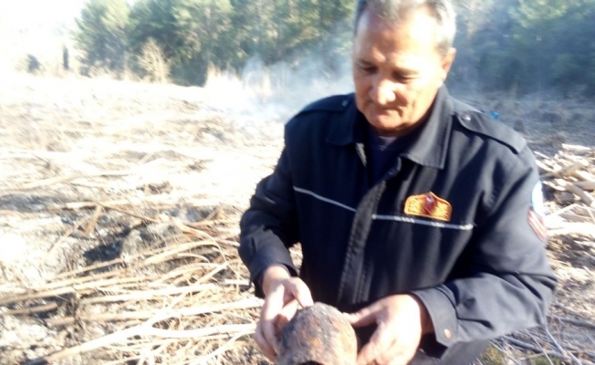 Seydikemer’de yanmak üzere olan kaplumbağayı itfaiye ekipleri kurtardı