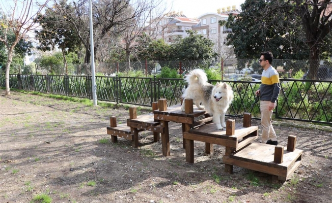 Alanya'nın ilk köpek parkı hizmete açıldı