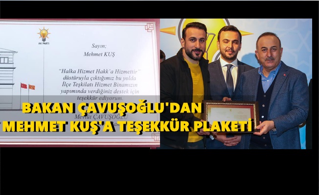 Bakan Çavuşoğlu'ndan Alanyalı iş adamlarına teşekkür plaketi