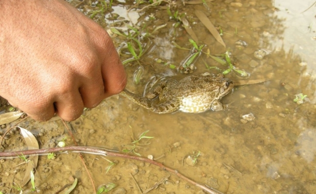 EKODOSD, Söke İlçe Tarım Orman Müdürü Zeki Berhuni’yi ziyaret etti