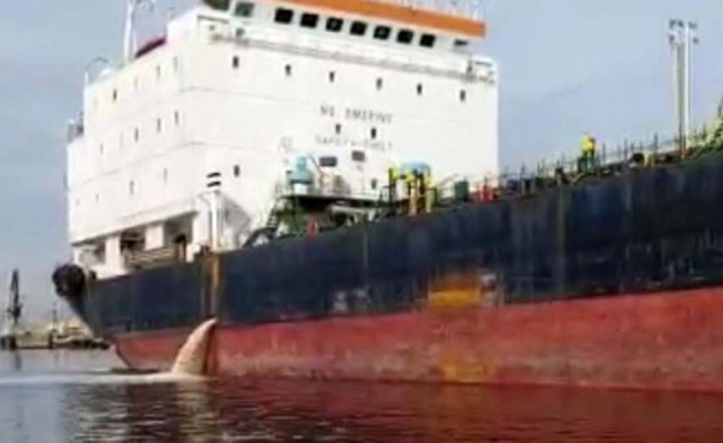İzmit Körfezi’ni kirleten gemiye 635 bin TL ceza