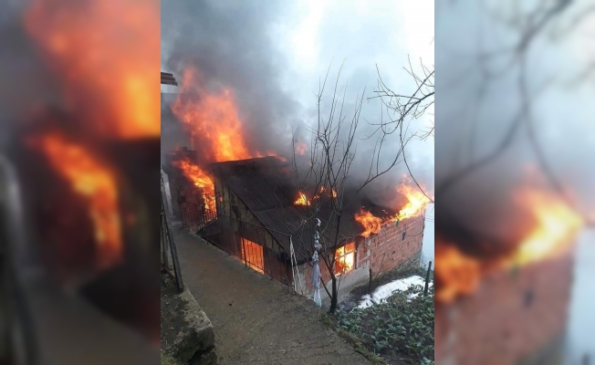 Köy evinde çıkan yangın korkuttu