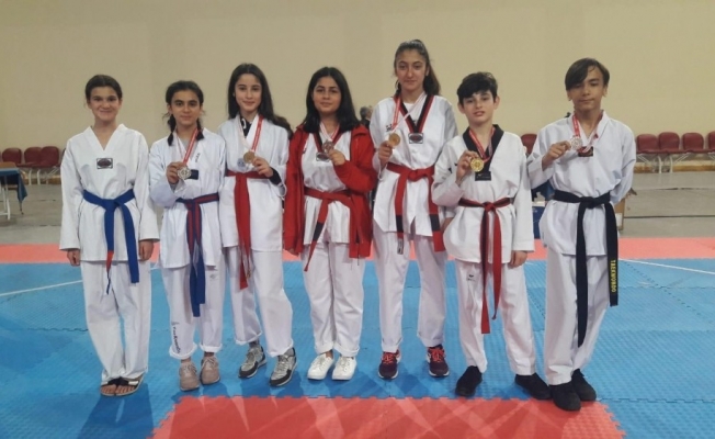 Okullar arası Yıldızlar Taekwondo İl Birinciliği müsabakaları tamamlandı