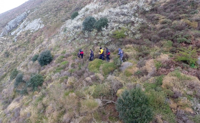Dağda mahsur kalan keçi için çalışma başlatıldı