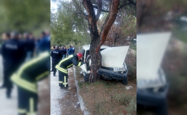 Denizli’de otomobil ağaca çarptı: 1 ölü, 1 yaralı