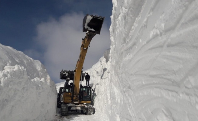 Mergezer Yaylası’nda 11 metreyi bulan karla mücadele ediyorlar