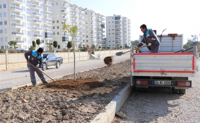 Okurcalar Mahallesi'nde peyzaj düzenlemesi