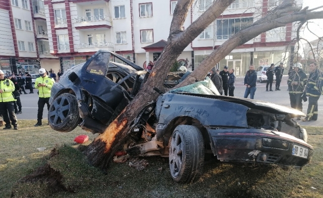 Refüje çıkan otomobil, ağacı yerinden söktü: 2 ölü, 1 ağır yaralı