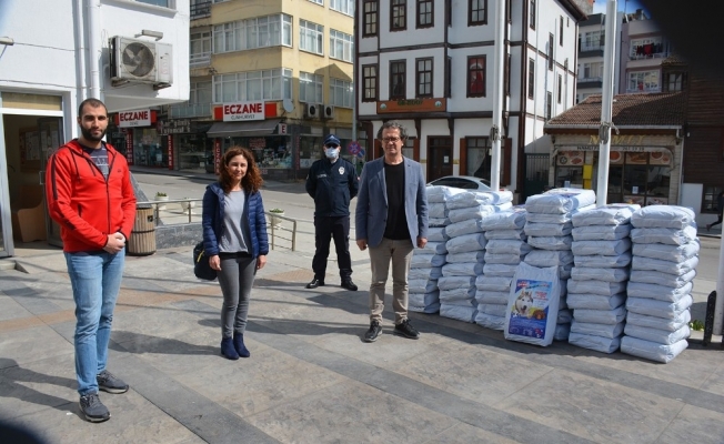 Sinop’ta sokak hayvanları aç kalmayacak