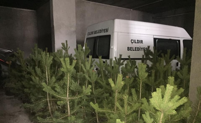 20 bin fidan Çıldır’a nefes olacak