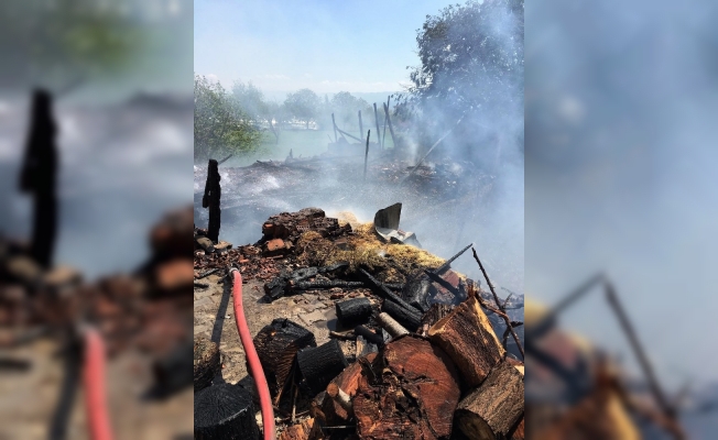 Ahır yangınından büyükbaş hayvanlar son anda kurtarıldı