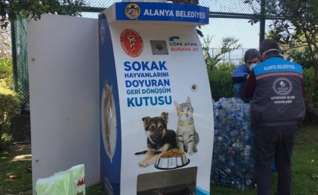 Alanya’da sokak hayvanları için yeni beslenme üniteleri