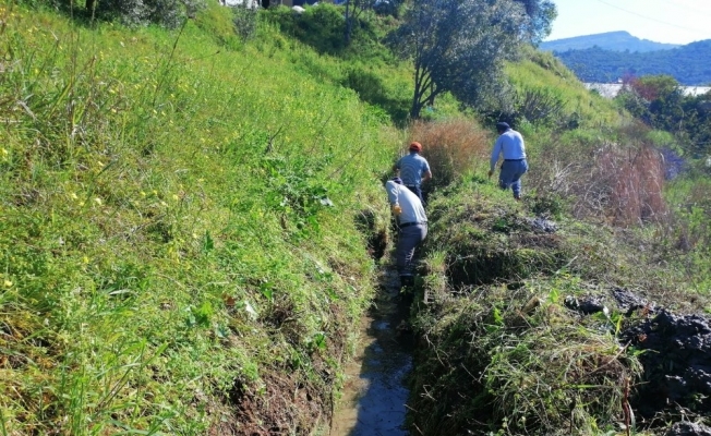 Alanya’da sulama kanallarını temizliyor