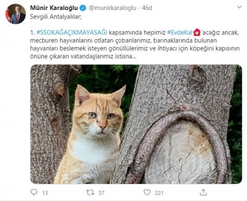Antalya Valisi'nden evcil ve sokak hayvanları için önemli karar