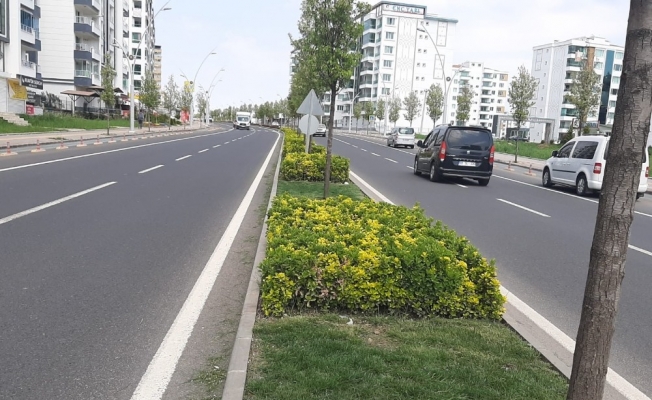 Bağlar caddelerinde bahar havası