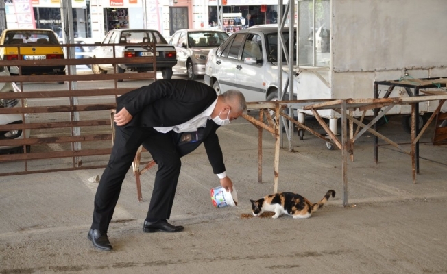Başkan Karakuş sokak hayvanlarını elleriyle besledi