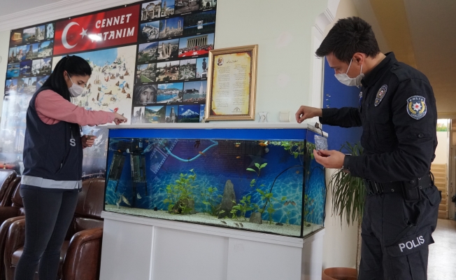 Gazipaşa'da okulda aç kalan balık ve köpeklerin imdadına polis yetişti