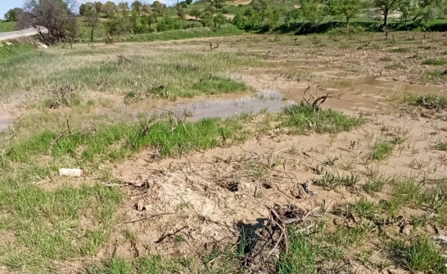Gercüş’te sağanak yağış ekinlere zarar verdi