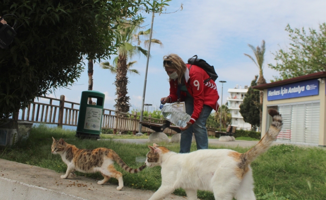 Sessizliğe bürünen kentte karı-koca özel izinle sokak hayvanlarını besledi