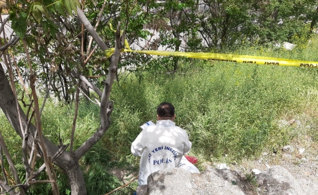Ankara’da ağaçlık alanda yeni doğan bebek cesedi bulundu