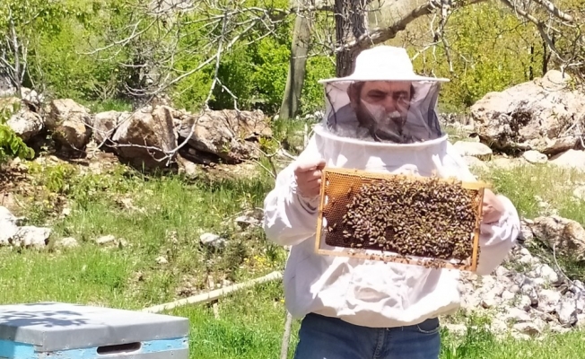 Antalya’da sıcaklıklar arttı, arılar yaylaya taşındı