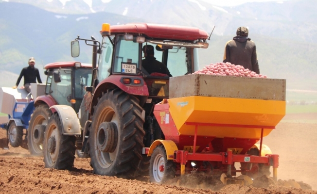 Bitlisli çiftçilerden korona virüsle mücadelede üretim seferberliği