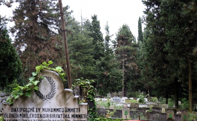 Her yıl ziyaretçi akınına uğrayan mezarlıklar bu yıl boş kaldı