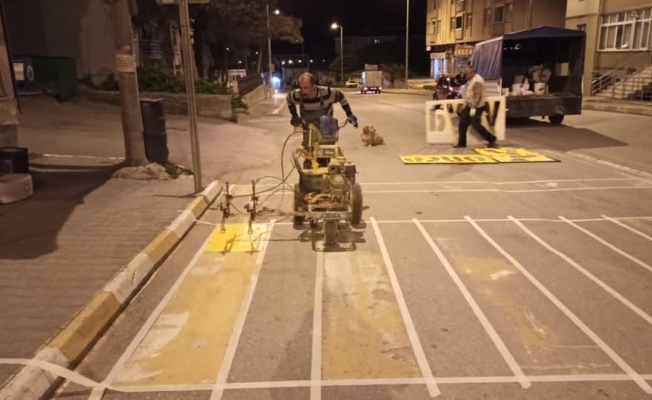 Sinop Belediyesi sokağa çıkma yasağını fırsata çevirdi