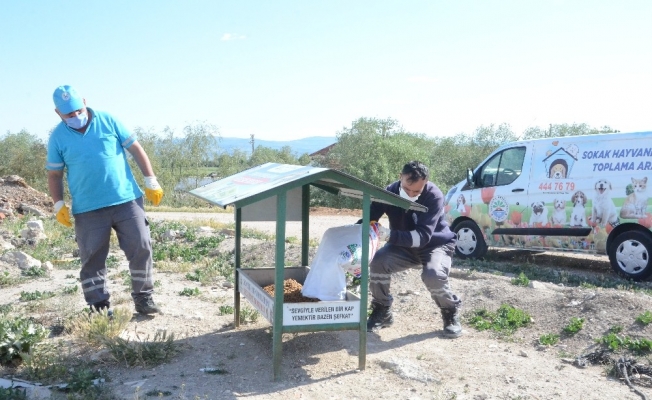 Sokak hayvanları için mama ve su bırakıldı