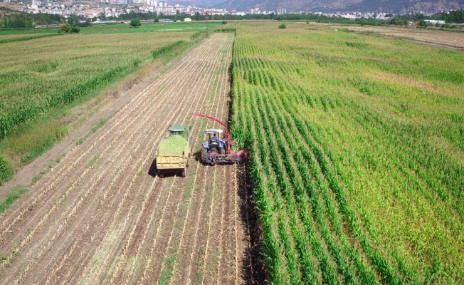 Tokat 453 Bin 930 Dekar Tarım Arazisi Suyla Buluşuyor