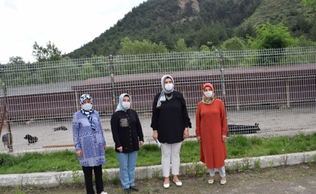 AK Partili kadınlardan ‘Bir Kap Su, Bir Kap Mama’ kampanyası